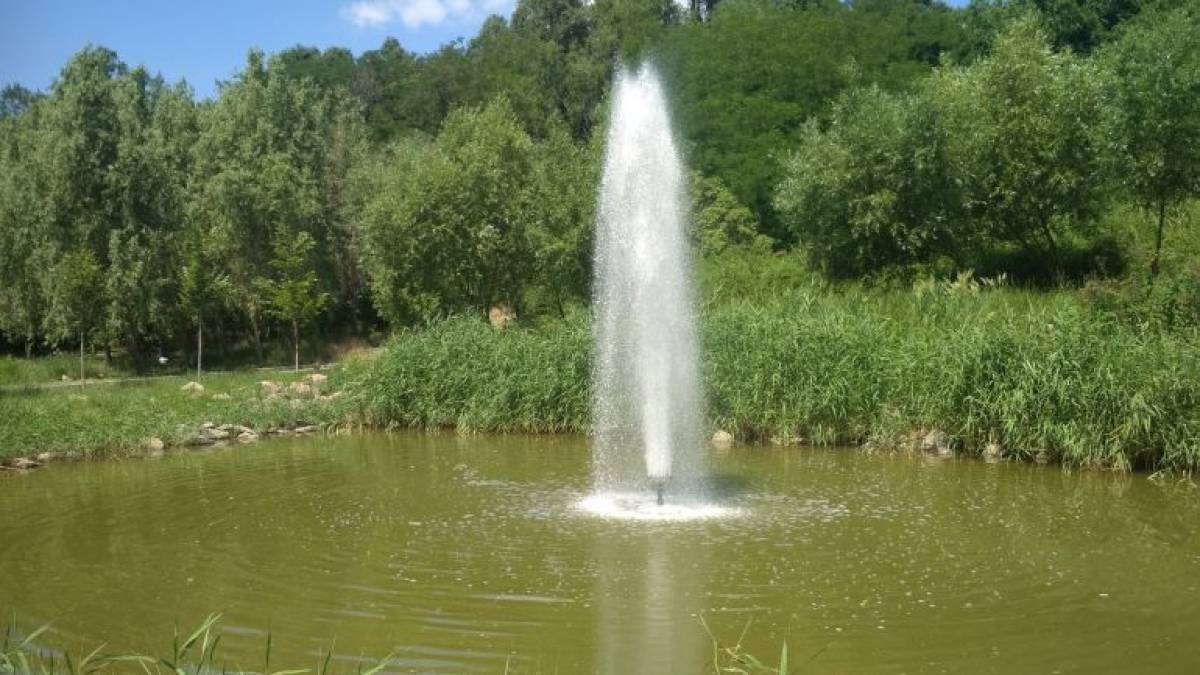 Думка запоріжців щодо відновлення парків і скверів