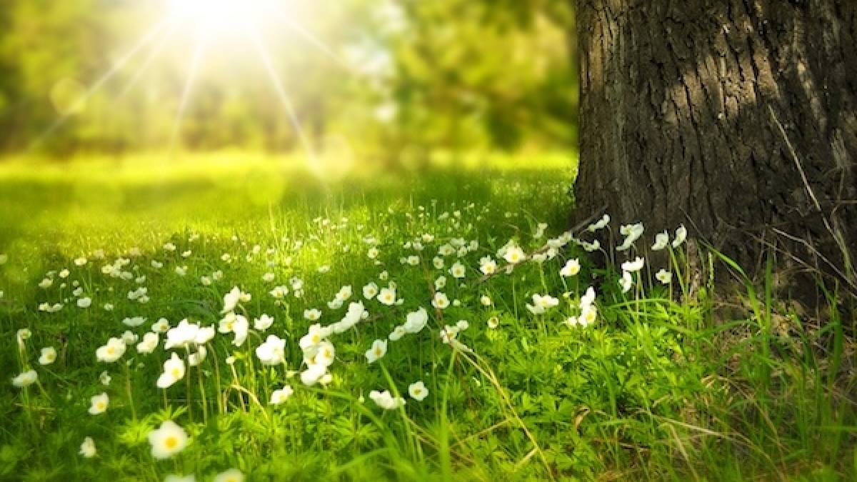 В Україні у перший день травня переважно без опадів, удень до +13°