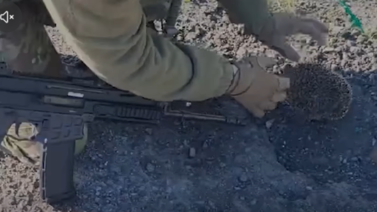 Поліцейський звільняє їжака з антидронової сітки на Запоріжжі