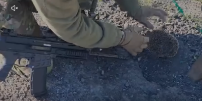 Поліцейський звільняє їжака з антидронової сітки на Запоріжжі