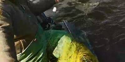 На Запоріжжі з нерестовищ вилучено три ліскові сітки