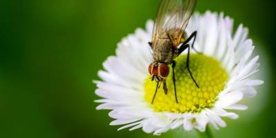 Україні на вівторок прогнозують до +27°:  де буде найтепліше