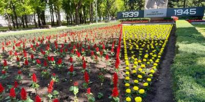На центральній клумбі Запоріжжя висадили 15,5 тисячі квітів