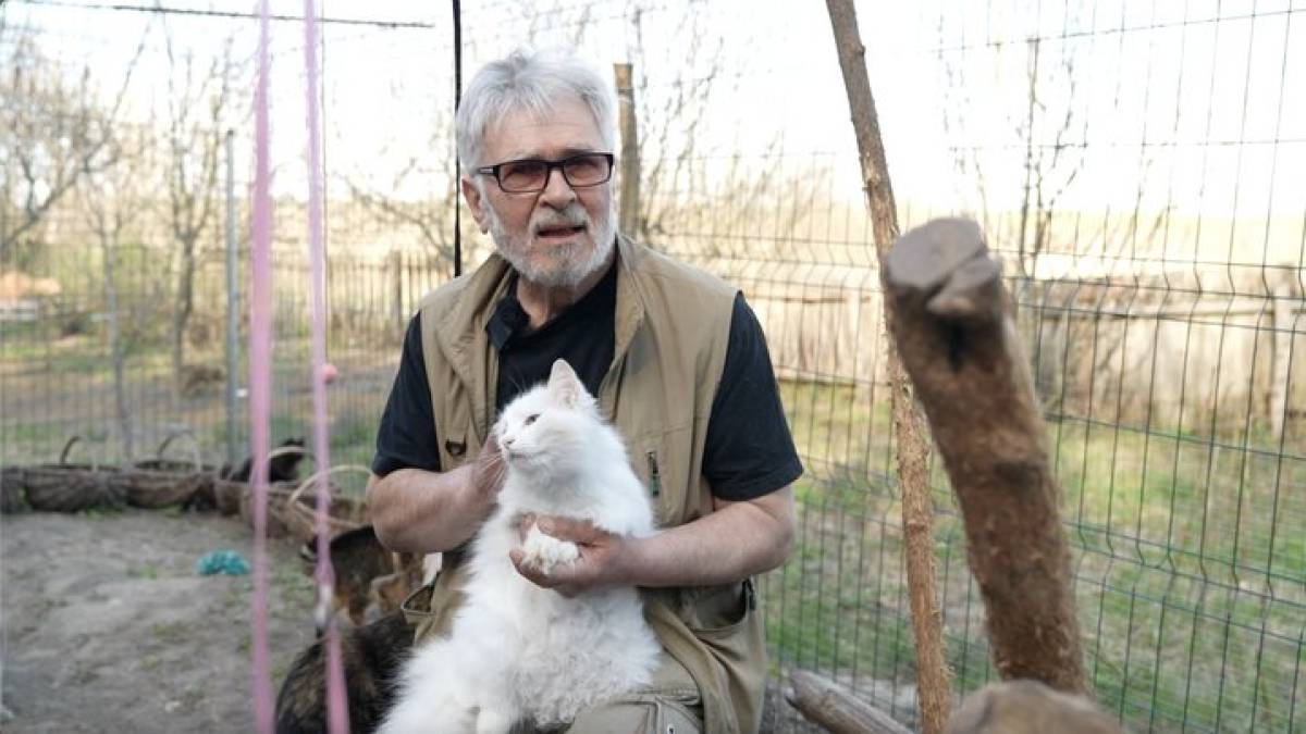 Родина актора із Запоріжжя евакуювала понад сто тварин на Черкащину