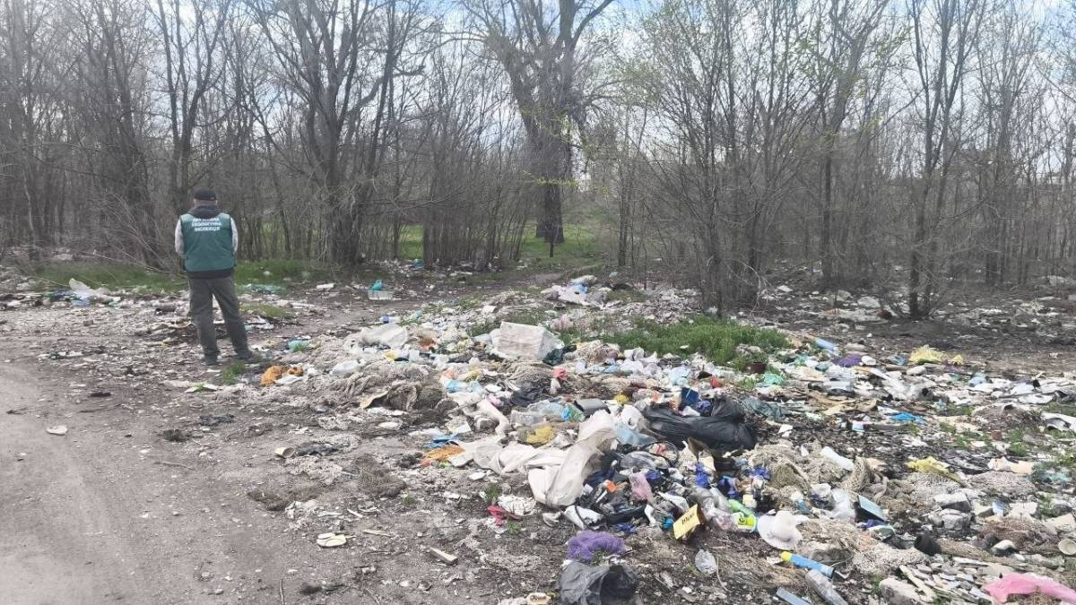 Стихійне сміттєзвалище поблизу вулиці Передаточної у Запоріжжі, змішані побутові відходи
