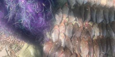 У Запоріжжі  викрили рибалку-браконьєра, який завдав збитків державі на 150 тис. грн