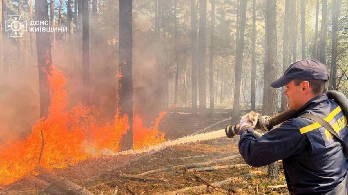 У Чорнобильській зоні триває ліквідація масштабної лісової пожежі