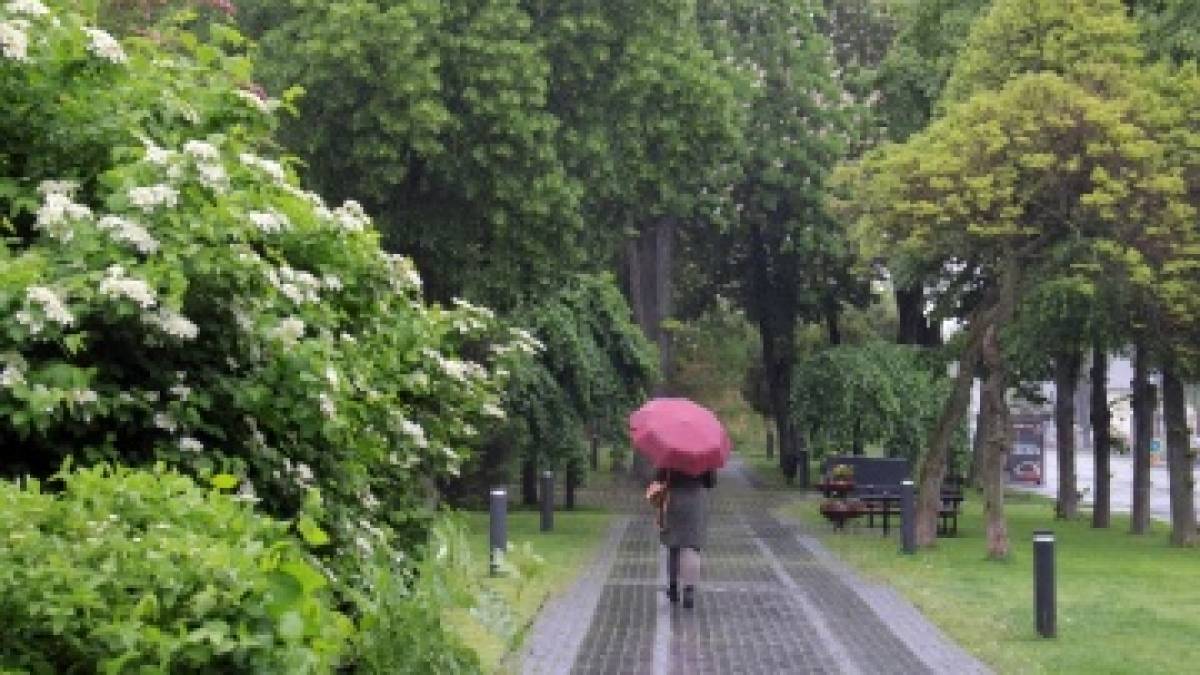 У понеділок у частині областей пройдуть дощі та грози, тепло 17-22°