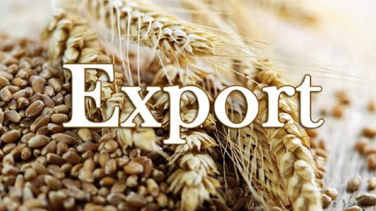 Україна експортувала вже понад 31 мільйон тонн зернових