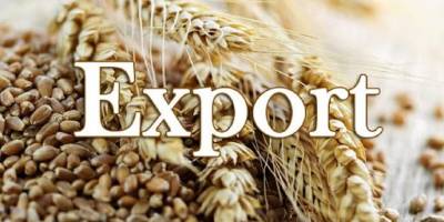 Україна експортувала вже понад 31 мільйон тонн зернових