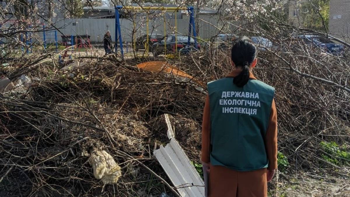 Стихійні звалища біля майданчиків у Шевченківському районі Запоріжжя