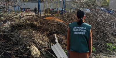Стихійні звалища біля майданчиків у Шевченківському районі Запоріжжя