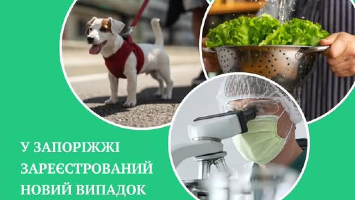 У Запоріжжі виявили п’ять випадків паразитарної хвороби, що може уражати легені та очі