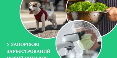 У Запоріжжі виявили п’ять випадків паразитарної хвороби, що може уражати легені та очі