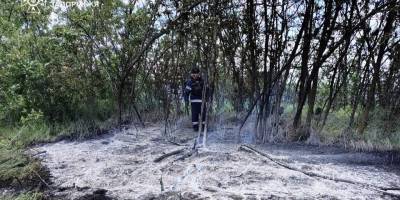 рф завдала 813 ударів по 45 населених пунктах Запорізької області
