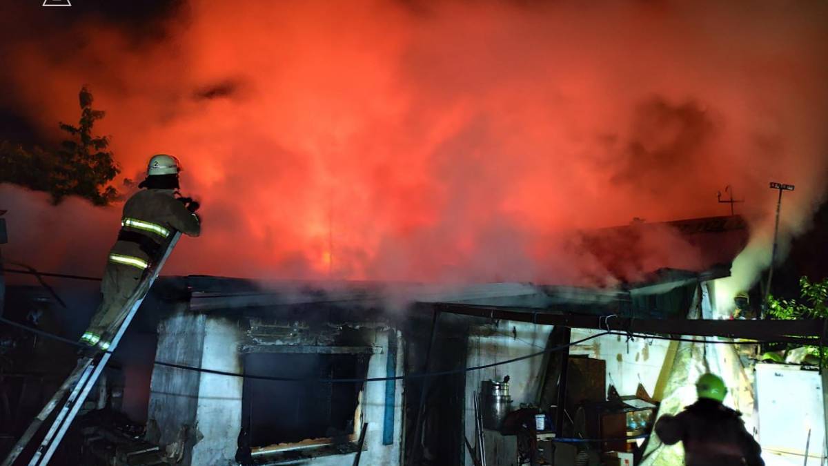 У Запоріжжі рятувальники гасили масштабну пожежу в приватному секторі (фото)