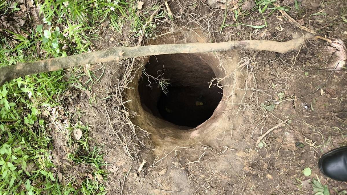 У Литві завернули 38 мігрантів, які прорили тунель під кордоном з білоруссю