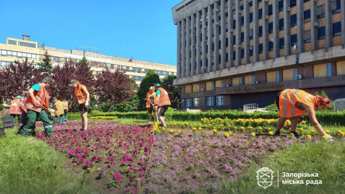 Клумбу на Майдані Героїв у Запоріжжі прикрасять тисячами яскравих квітів (фото, відео)