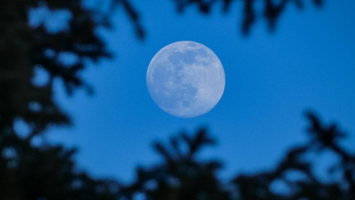 Повний місяць на нічному небі — блакитна повня 31 травня 2026 року