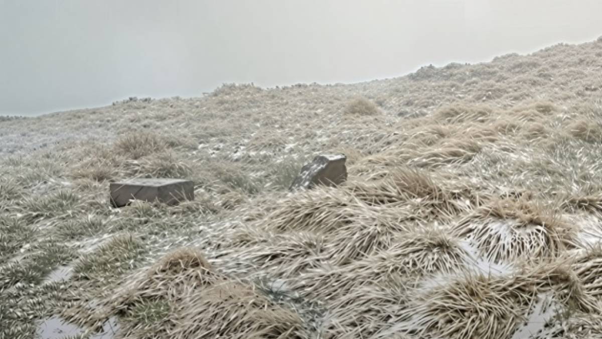 У Карпатах 1° морозу і йде сніг